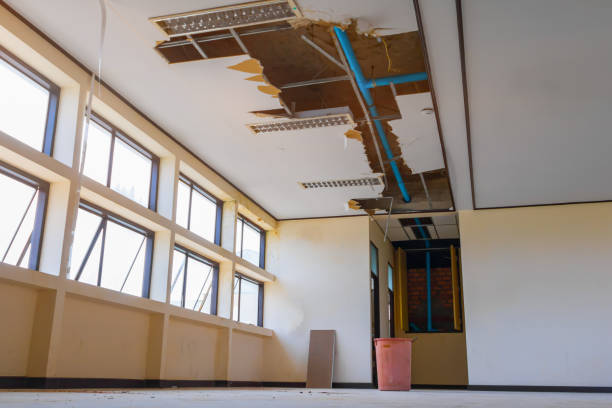 Best Water damage cleanup near me  in Hope, AR