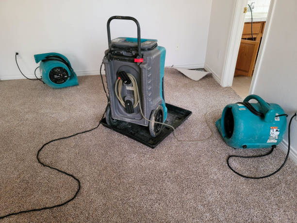 Best Local water damage restoration  in Hope, AR