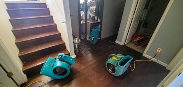  Hope, AR Water damage restoration Pros