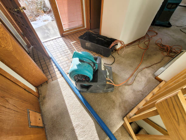 Carpet water damage restoration in AR