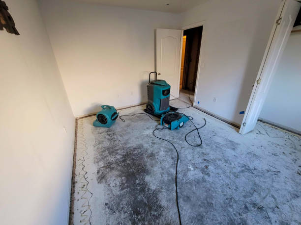 Best Basement water damage restoration  in Hope, AR