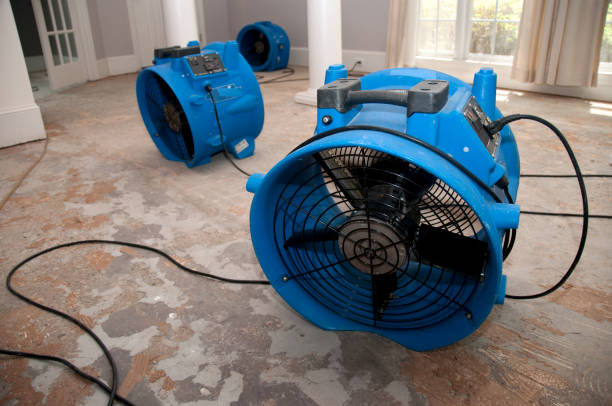 Best Carpet water damage restoration  in Hope, AR