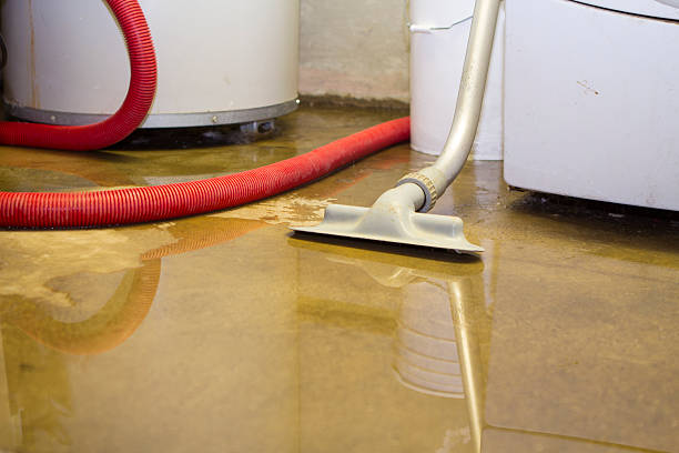 Best Local water damage restoration  in Hope, AR