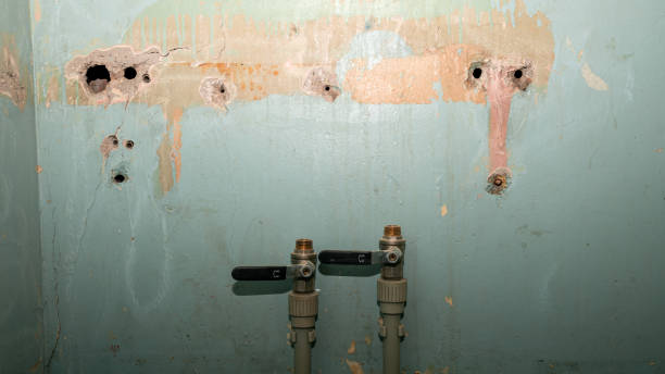 Water damage restoration mold remediation in AR