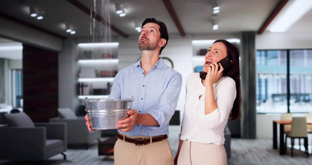 Best Flood damage cleanup  in Hope, AR